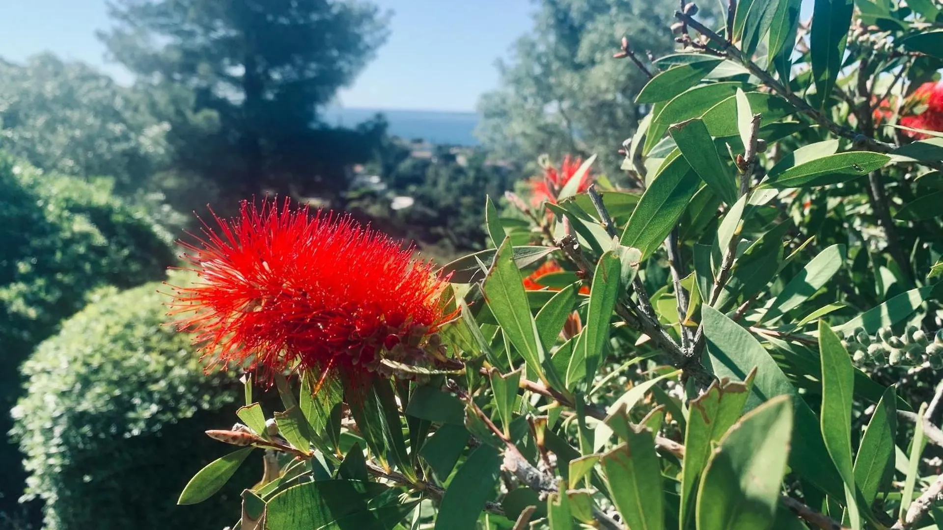 Magnifique Vue Mer Roquebrune-sur-Argens