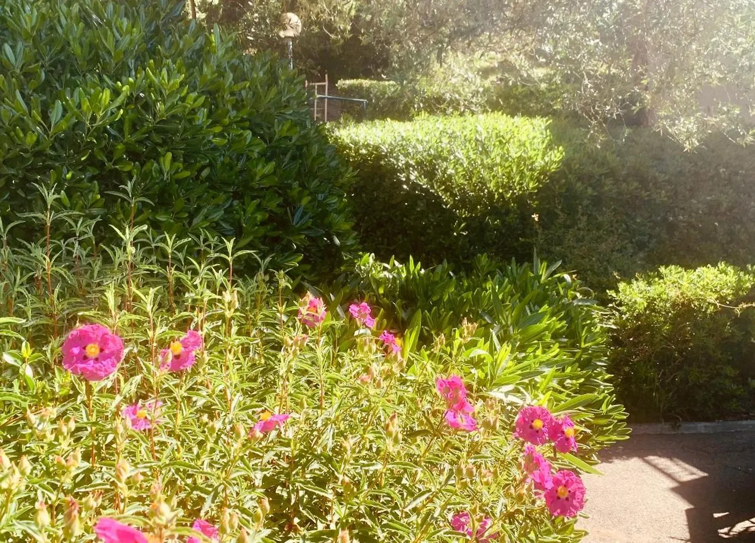 Magnifique Vue Mer Roquebrune-sur-Argens Apartment