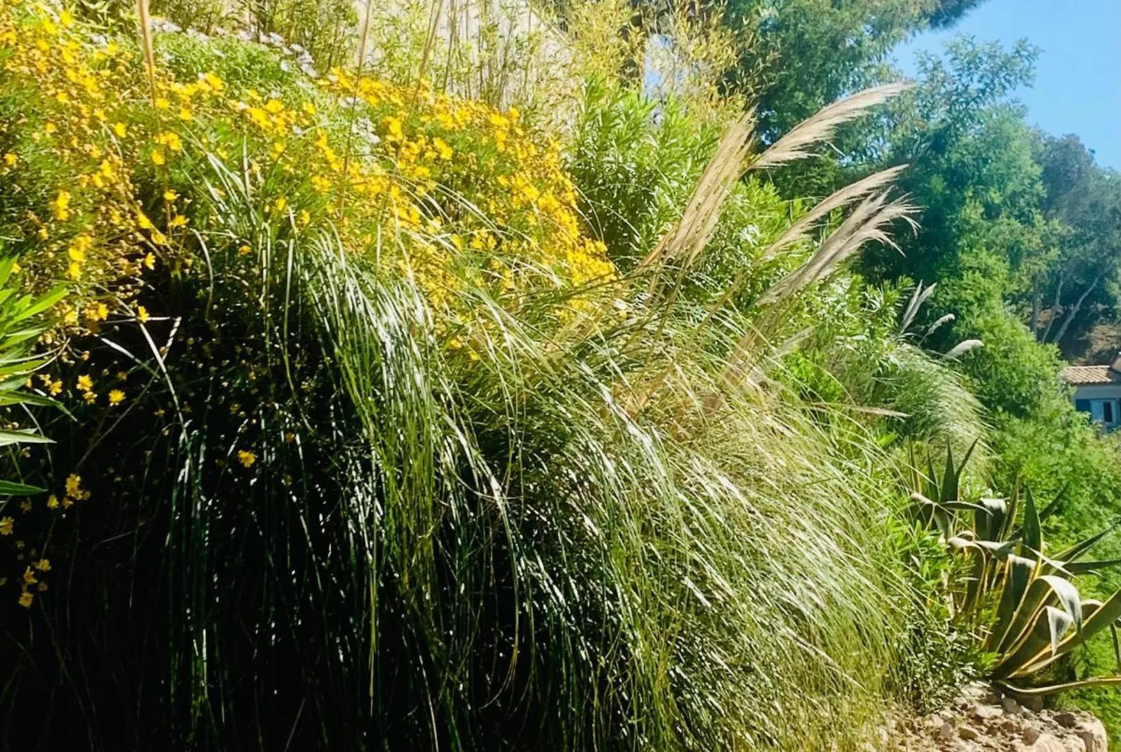 Magnifique Vue Mer Roquebrune-sur-Argens